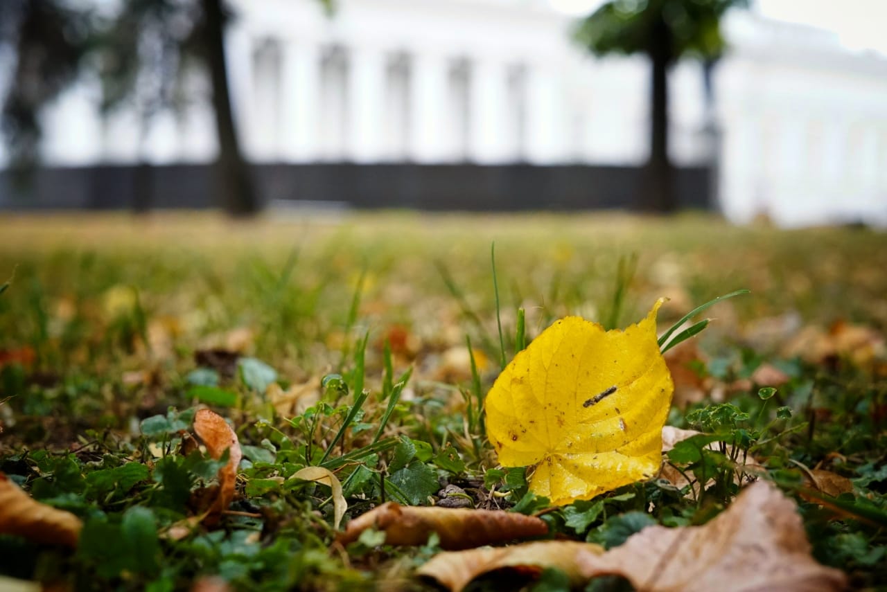 Осень в Казани фото